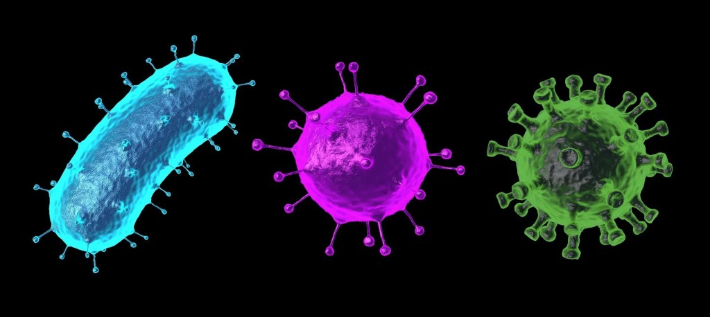A digital illustration of three microorganisms: a cyan bacterium on the left, a magenta virus in the middle, and a green virus on the right, all depicted against a black background.