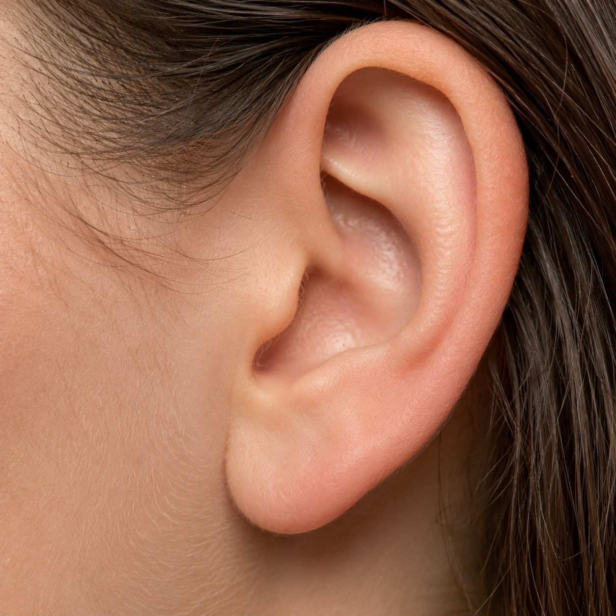 Ear Problems Logo
